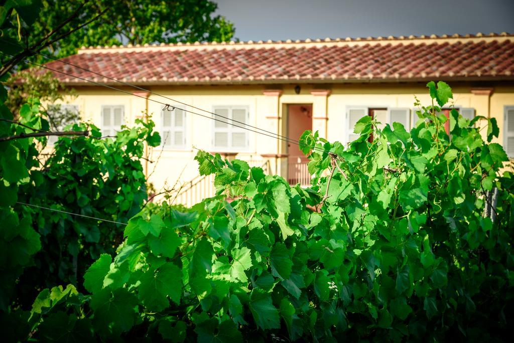 Tenuta Pizzogallo Amelia Exterior foto