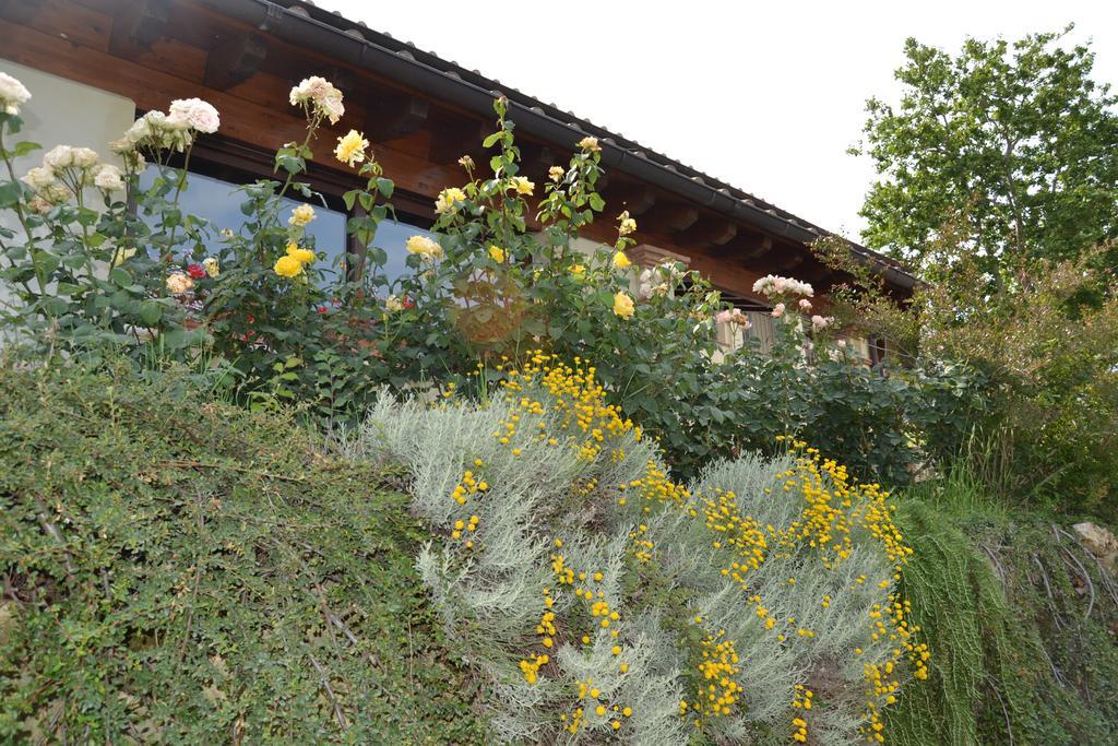 Tenuta Pizzogallo Amelia Exterior foto