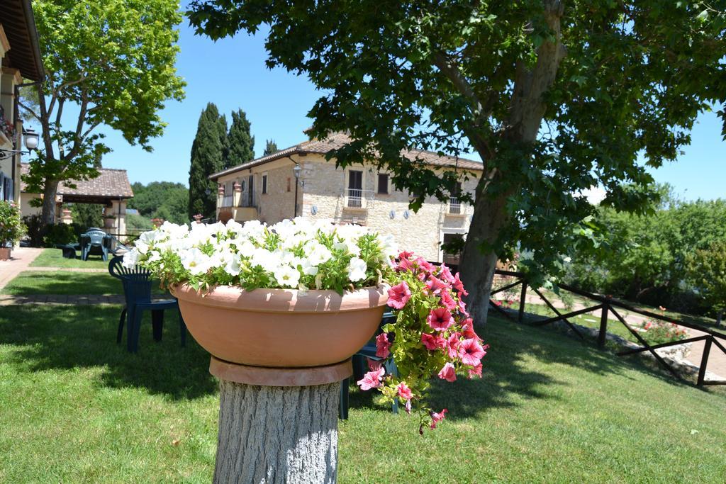 Tenuta Pizzogallo Amelia Exterior foto